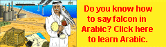 Learn Arabic language