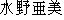 Japanese characters of 'mizunoami'