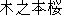 Japanese characters of 'kinomotosakura'